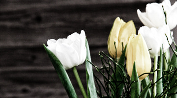 Startseite-Impressionen_360x200px.jpg